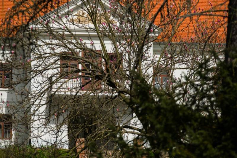 pszentlaszlo_arboretum-20180412-77 (Egyedi).jpg